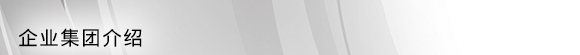 企業(yè)集團介紹